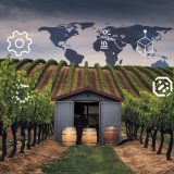 Rivoluzione del Vino: Come l’Intelligenza Artificiale e la Blockchain Migliorano Qualità e Sicurezza (2024)